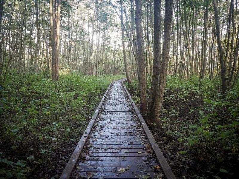 Frederiksværk Nordsjaellands Ferieboligerアパートホテル エクステリア 写真